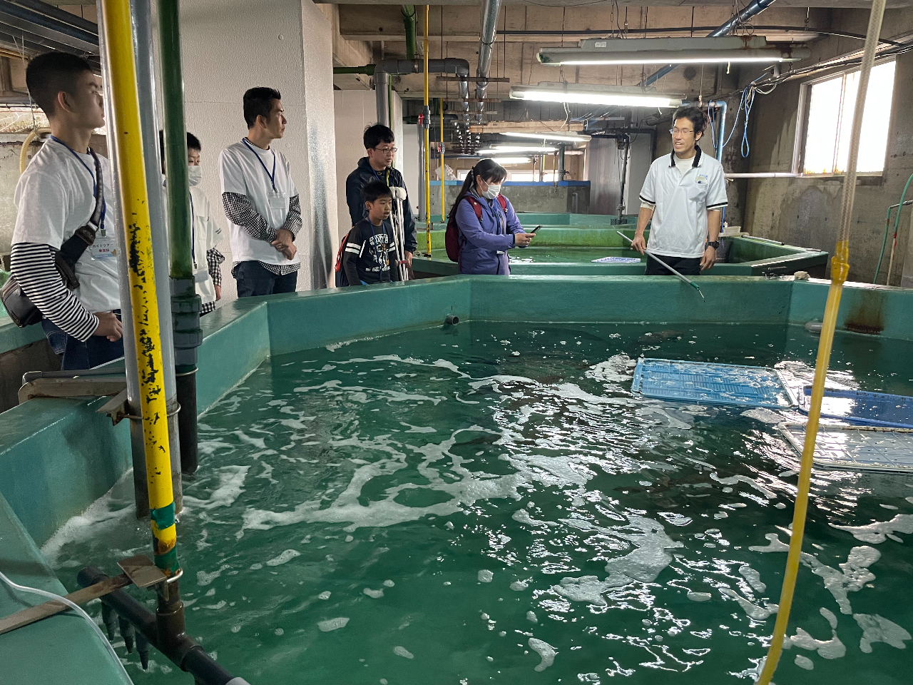 水族館の生き物の飼育について楽しくお話いたします。 裏側で飼育している生き物の解説や、触ってもいい生き物もいます。