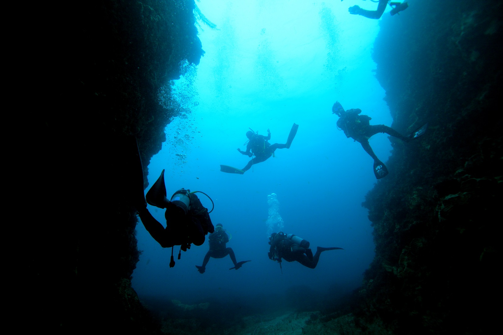 海の中は、こんな感じです!!