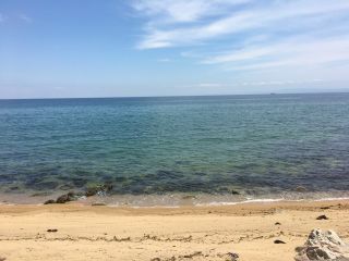 オーシャンビュー!