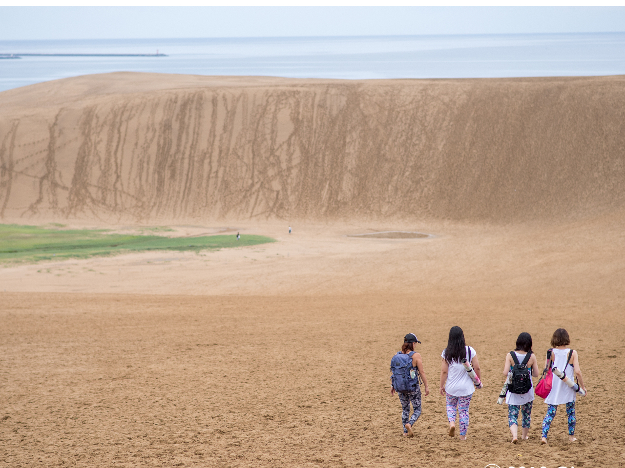 ���̋u�̏�Ń��K�̌����܂���`