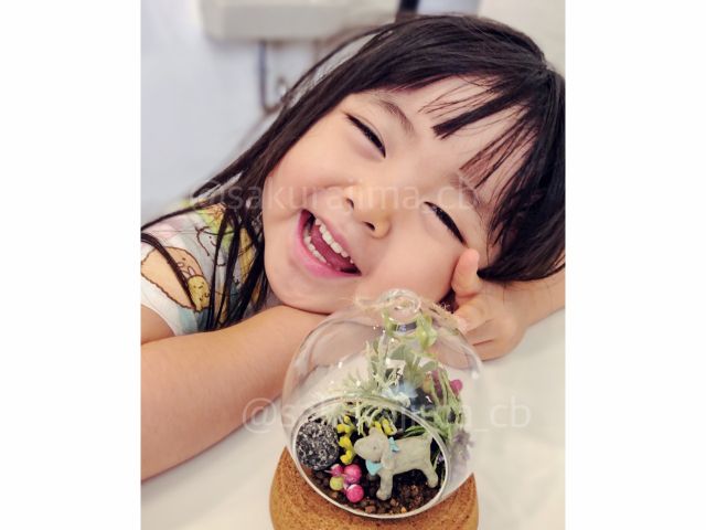 子どもから大人まで、楽しく作れる旅のお土産♪ 桜島の溶岩を使った簡単テラリウムのワークショップです。