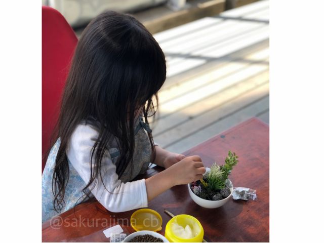 大人の方と一緒の参加なら、3歳くらいのお子さまからお楽しみいただけます。