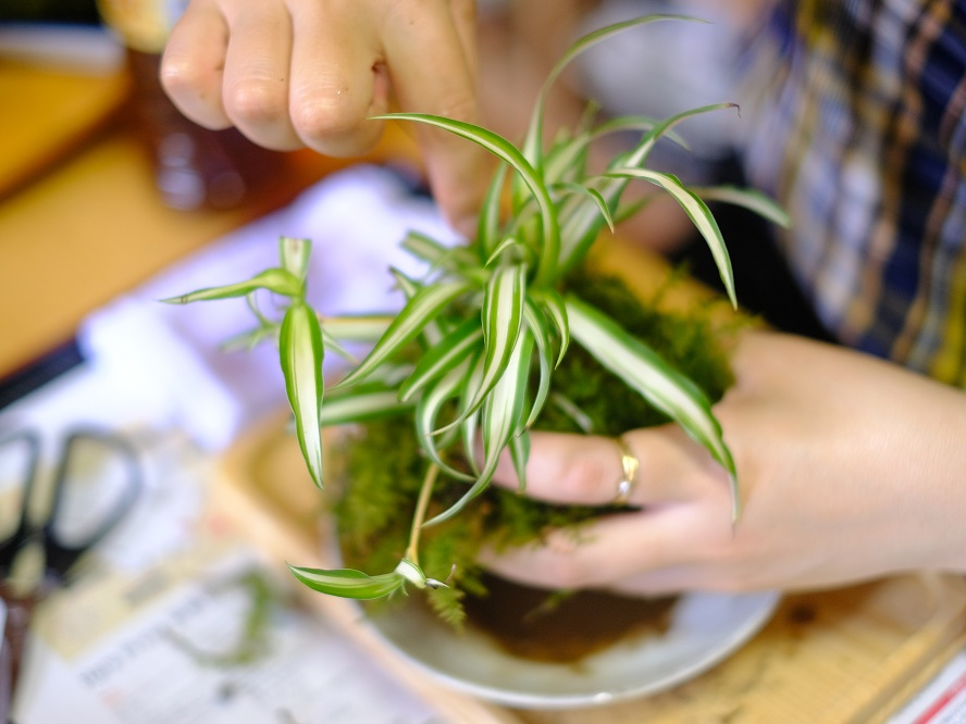じゃらん限定特典有！】苔のむすまで・・自家製竹炭入りミニ苔盆栽又は