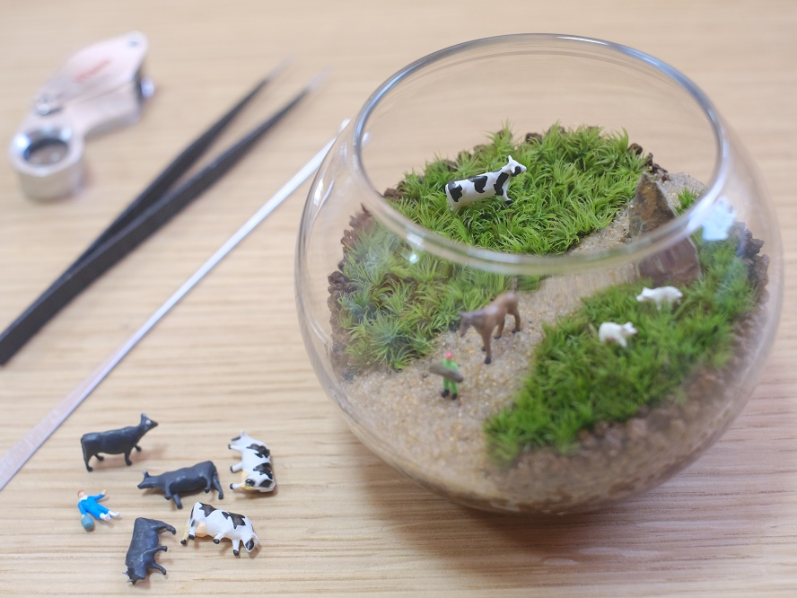 苔むす森の風景、苔テラリウム フィギュアなし_渓流の風景 ボウルM《苔テラリウム・コケリウム