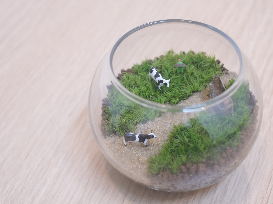 ʐ^͖qC[WۃeEBw̒Ⴂۂ͖q⑐\̂ɓKĂ܂B(gpہFz\oILiSP)