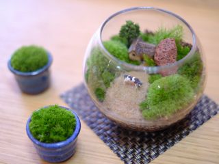 ガラス容器の中で様々な苔、飾り石、化粧砂、そして景色に動きを出す様々なフィギュアを添えて、ゆっくり育てる景色を作る事ができます。