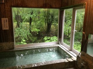 ミズナラ、コナラの自然豊かな森を眺めながら、温泉浴を楽しみましょう。