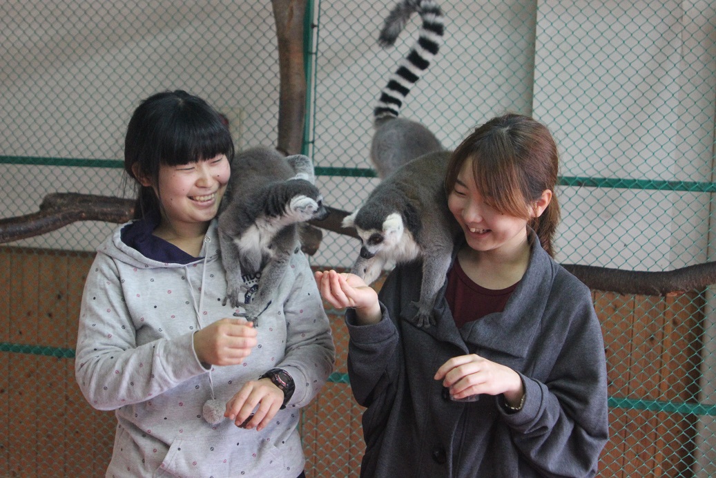 とっても人懐っこいですよ