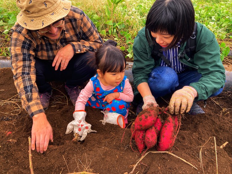 大っきいのや小さいのがいっぱいで大家族だね。