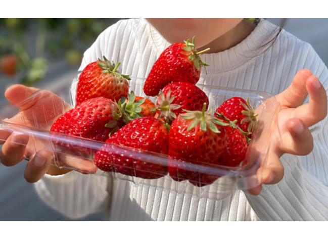 ���S���S�Ȃ������Â����