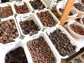 地域共通クーポン対象 いろいろな木の実を使って作ろう 木の実で作ろう Inあきた芸術村 森林工芸館 じゃらん遊び体験 地域共通クーポン対象 いろいろな木の実を使って作ろう 木の実で作ろう Inあきた芸術村 森林工芸館 じゃらん遊び体験