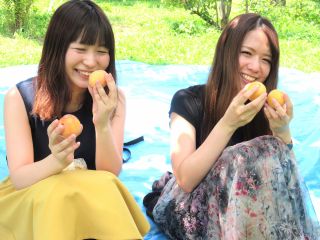 “プラム娘” “自分でもぎ取った” プラムでつい笑顔に(^^♪