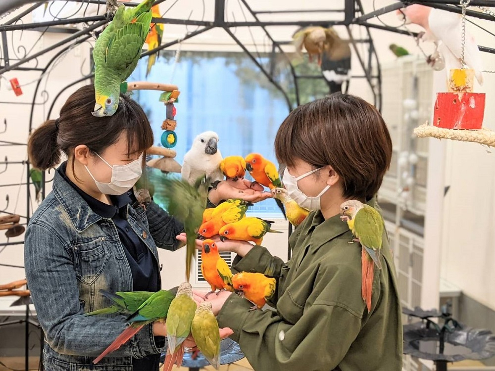 足立区の動物カフェランキングtop2 じゃらんnet