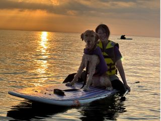 わんちゃんにも心地よい気温!サンセットがオススメ!綺麗な夕日を見ながらリフレッシュ!
