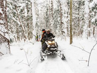スノークルーズを楽しもう! 本当の静けさは冬の森の中に