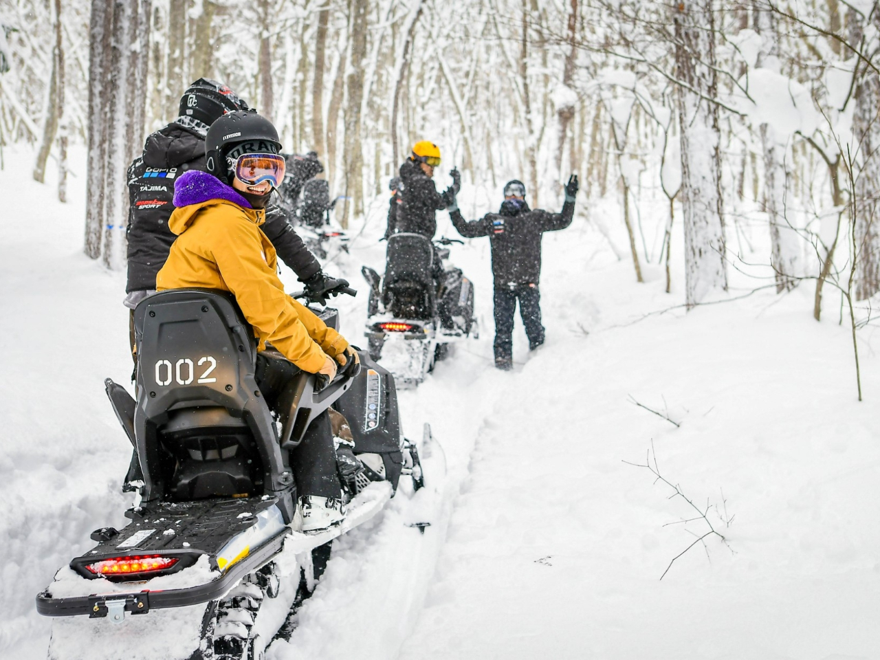 X̒ǂǂiI@o΁A厩R͂I