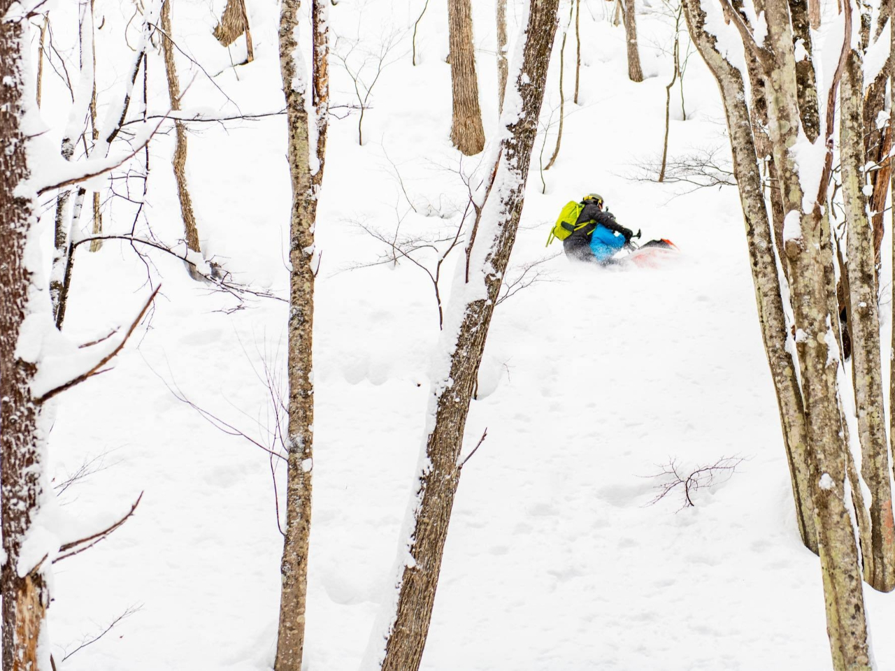 uXԖ_I@X̒DuƐ؂蔲銴o͂ƖYȂEB^[̌ɁI