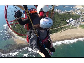 のんびりふわふわ伊良湖岬観光が出来ちゃいます