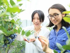 そのままとってすぐ食べられます