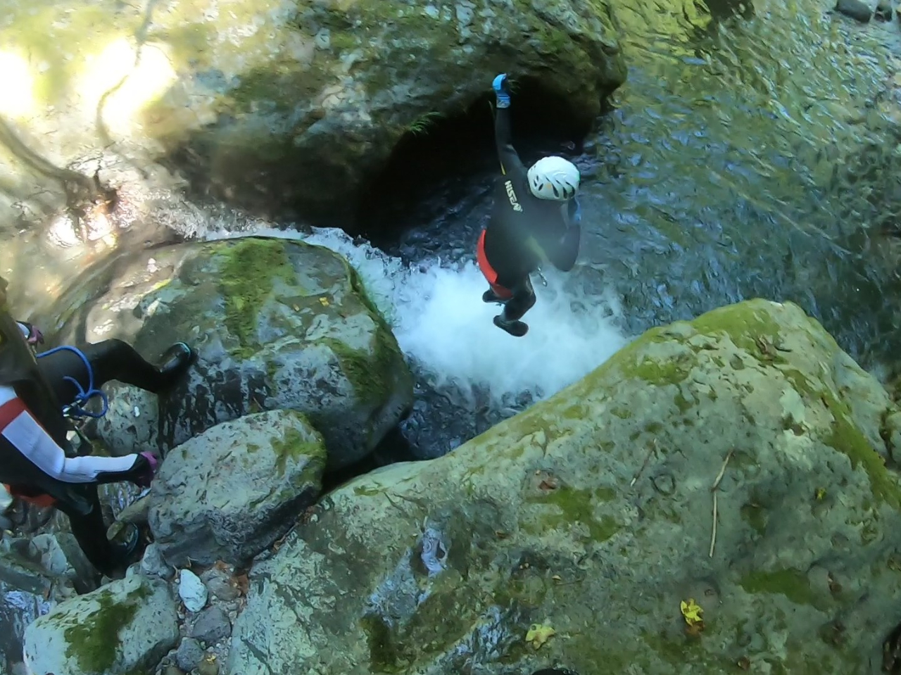 �V�т܂���[�@(^^��