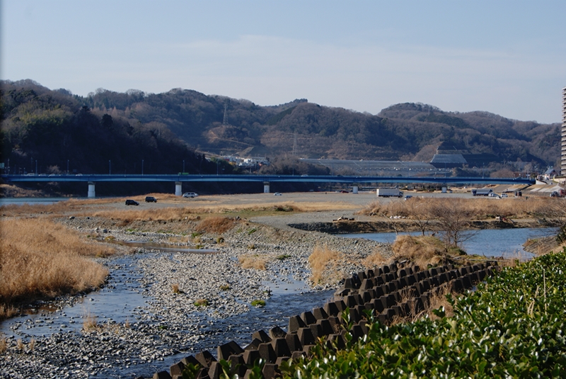 ��Ԃ��BBQ�����_�ސ�̎ʐ^3