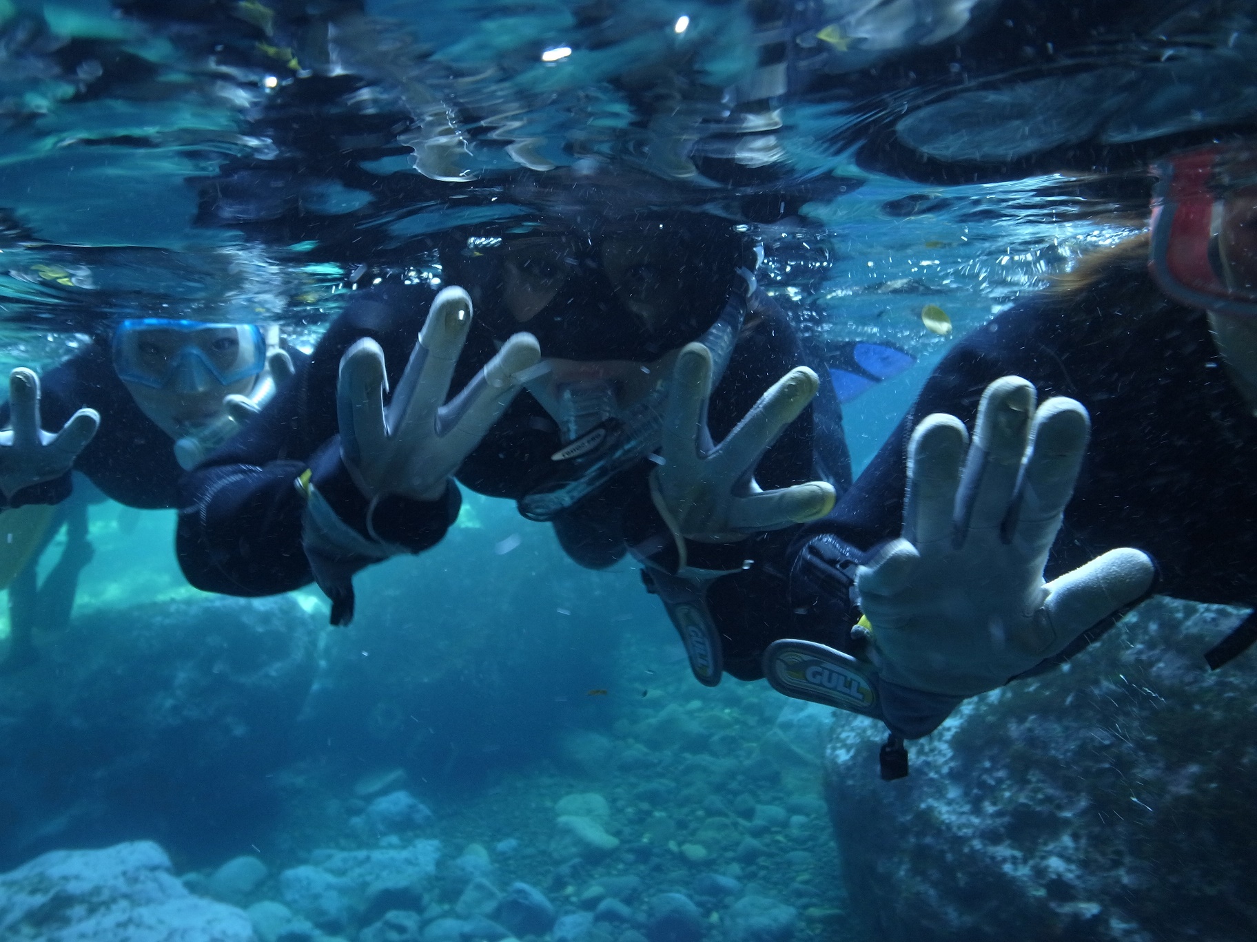 �݂�ȂŊy�����V���m�[�P�����O��@���q�l�ł��ȒP�ɂł��܂���I