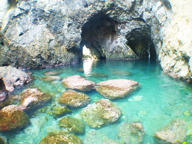 �o�X�N��������ꂽ�悤�Ȑ��̐���