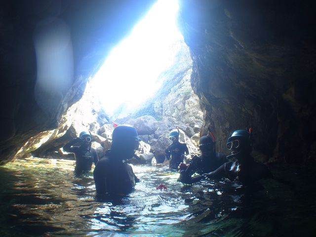 ���A�����̒T���c�A�[�� ���N���N���