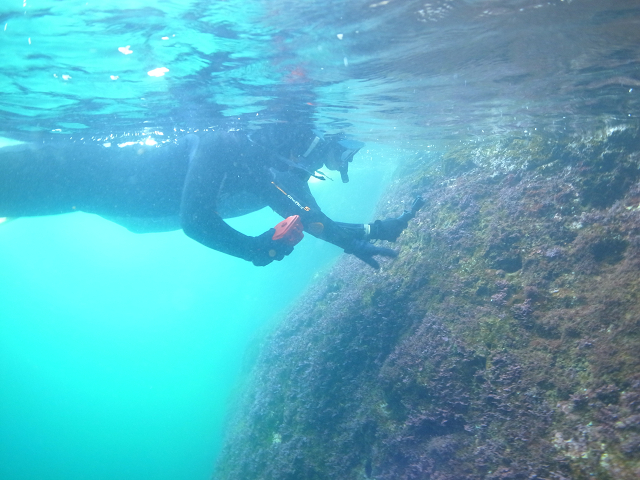 ���A���ӂɂ́A�������`���ς��I�I�������萶���ώ@���y�����ł���