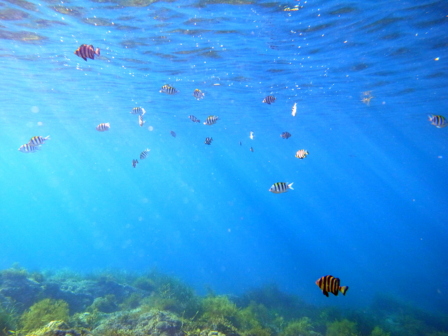 ���͑��z������������łƁ[���Ă��L���C��