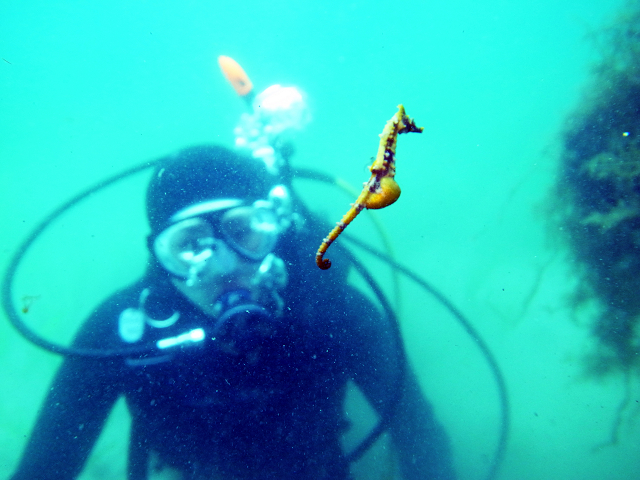 �^�c�m�I�g�V�S�ɂ��o��邩�����