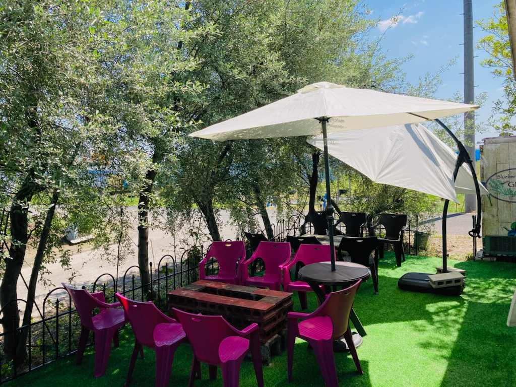 【岐阜県海津市/BBQ 持ち込みBBQプラン】【当日予約OK!!】【ワンちゃんO...