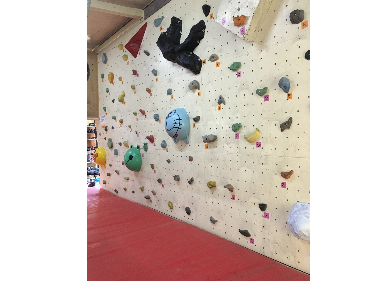 体験クライミング 2時間 はじめての人でも楽にのぼることが出来るよう専門家がサポートいたします クライミングジムノースロック じゃらん遊び体験