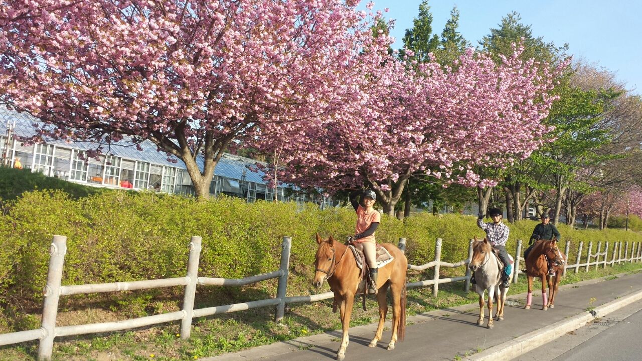 青森の自然を満喫☆【周辺45分外乗】自然を感じながら思いっきりお楽しみ下さい☆☆