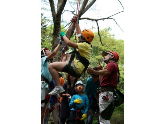 キッズツリークライミング 家族で森でびゅ Mothertreeふぉーらむ じゃらん遊び体験
