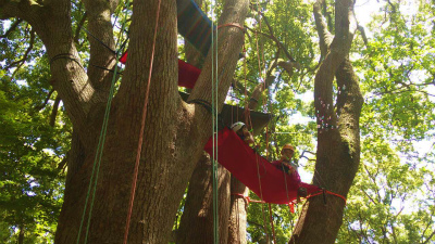 森の中のツリーボート、これはゆりかご?それとも基地なの?
ゴールデンウイークスペシャル/星野リゾート・リゾナーレ熱海から
