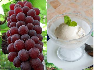 デラウェア&ジェラートシングルのセットです♪ カフェで食べてもぶどう園でぶどうと一緒に食べてもOK!もちろん追加注文もできます