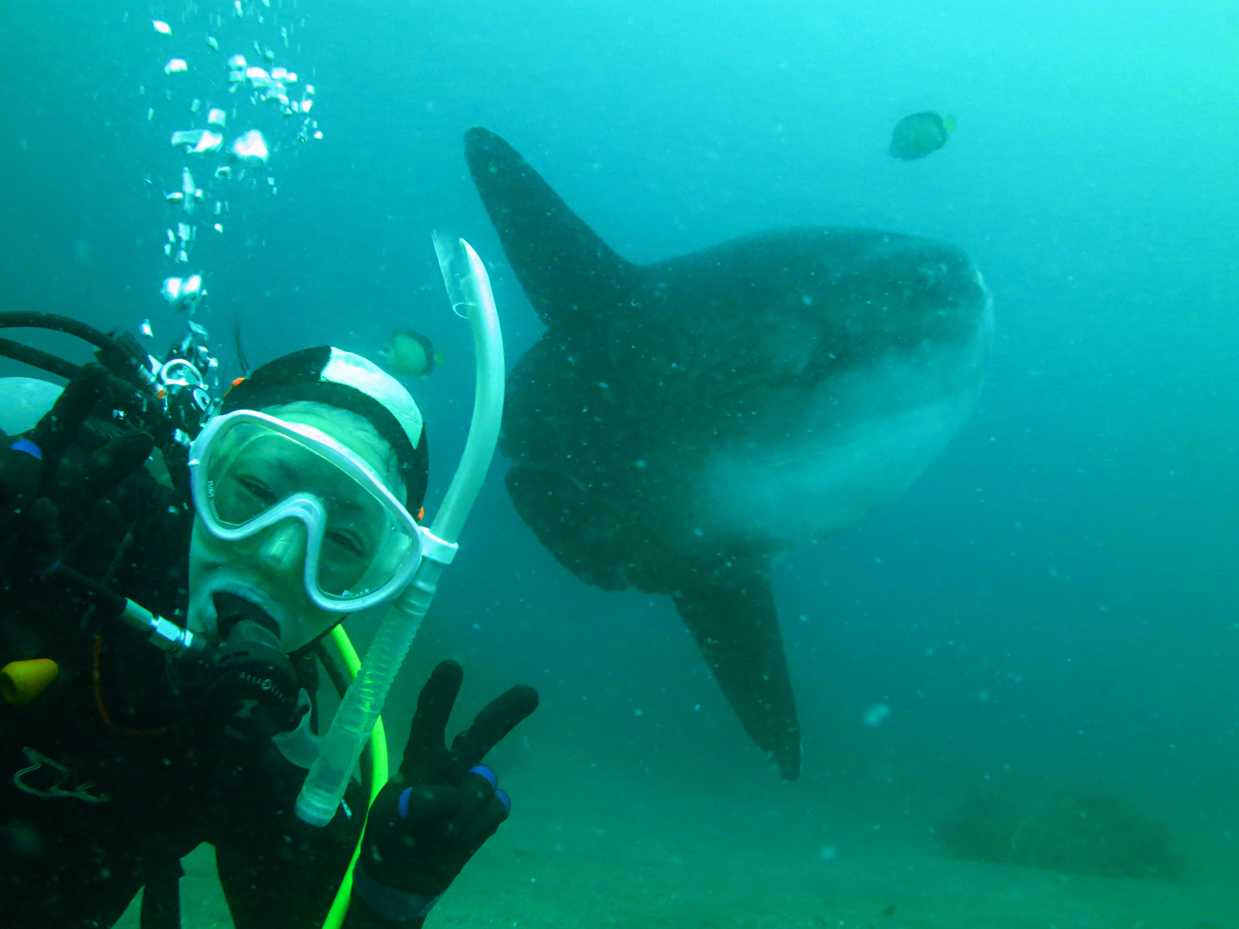 思いがけない大物との遭遇も!