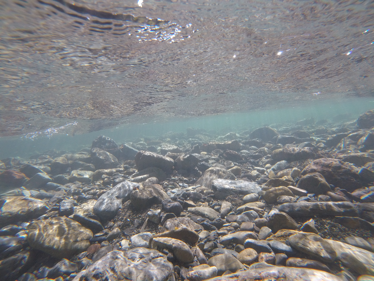 国立公園内の秋川渓谷。水がとても綺麗です!!