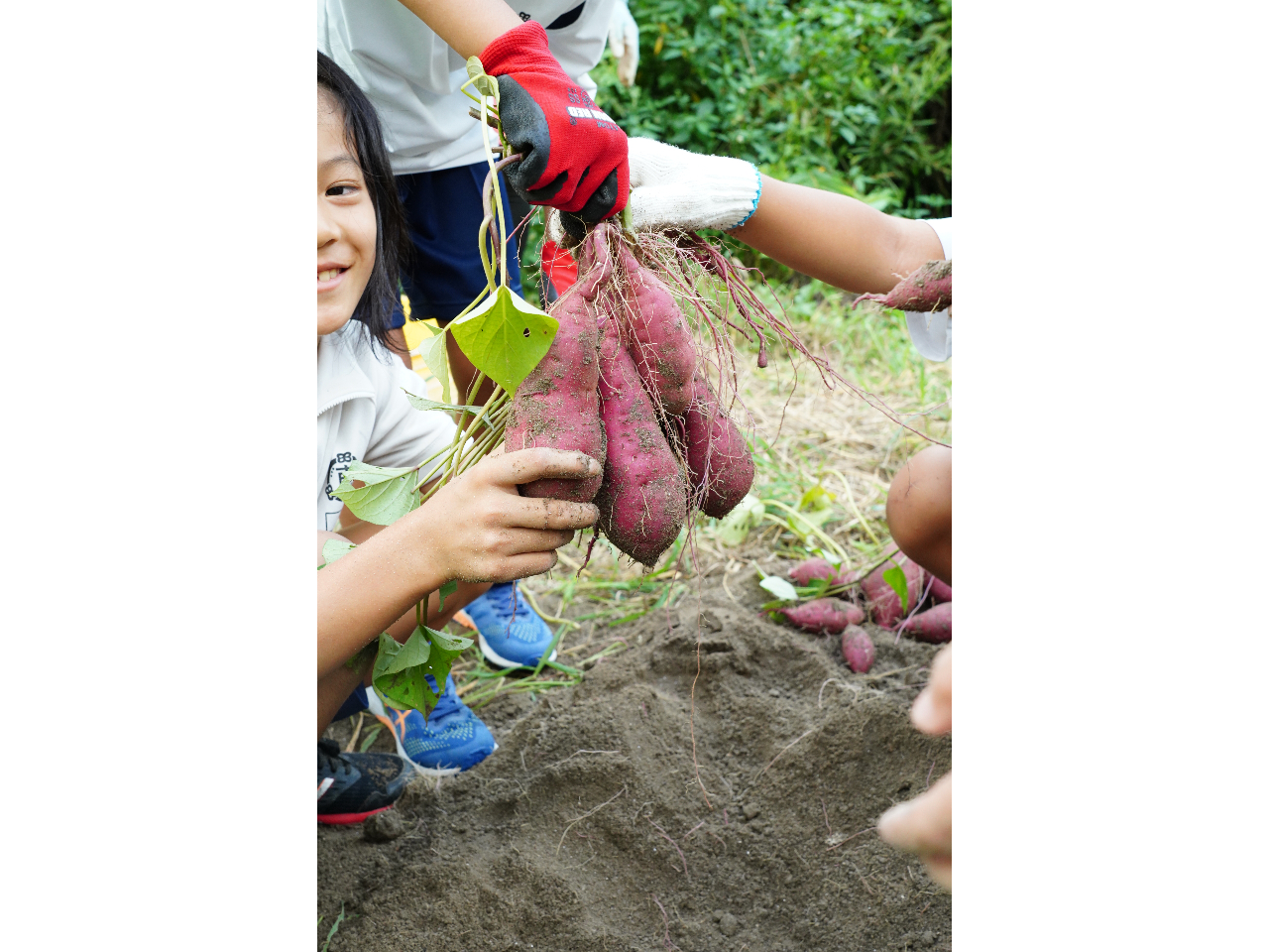 掘れた時の喜びは格別♪