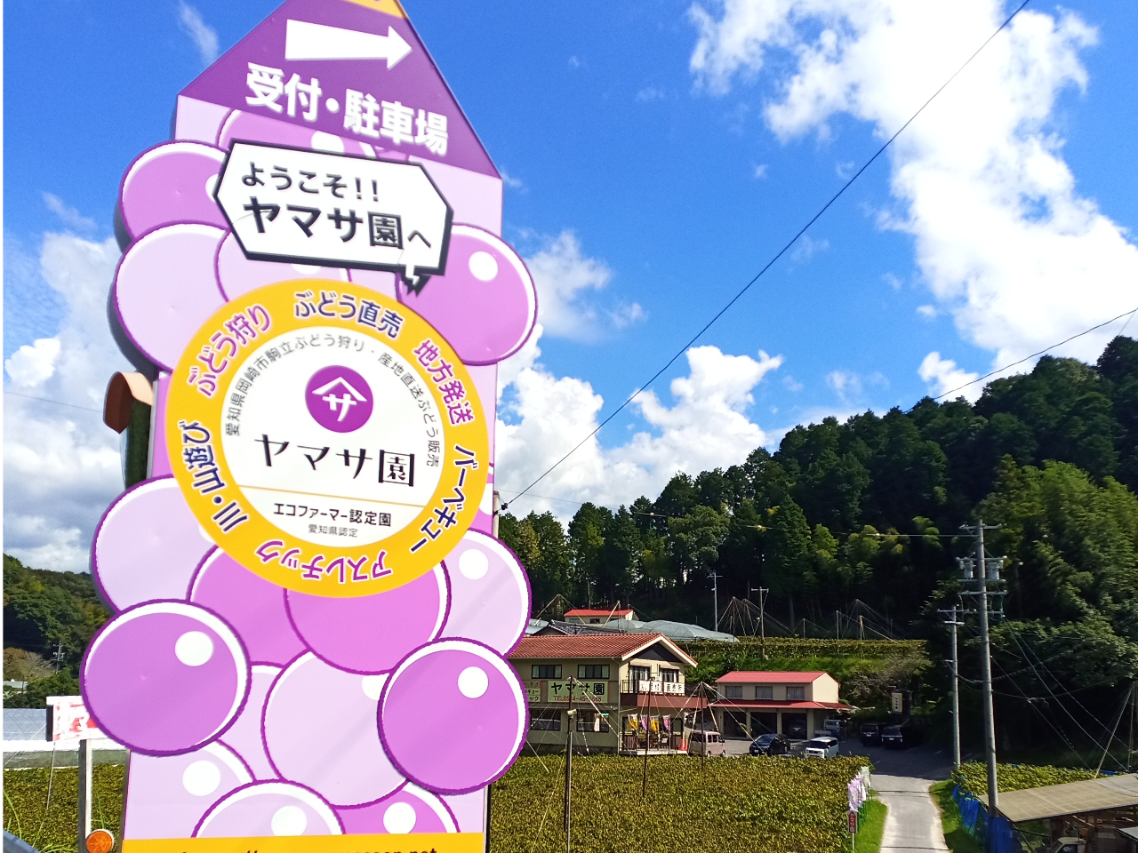 msɈʒuAԂǂu}TvBLcICԂŖ20AICԂŖ30Bԏꂪ펞60䂠܂̂ŁApB