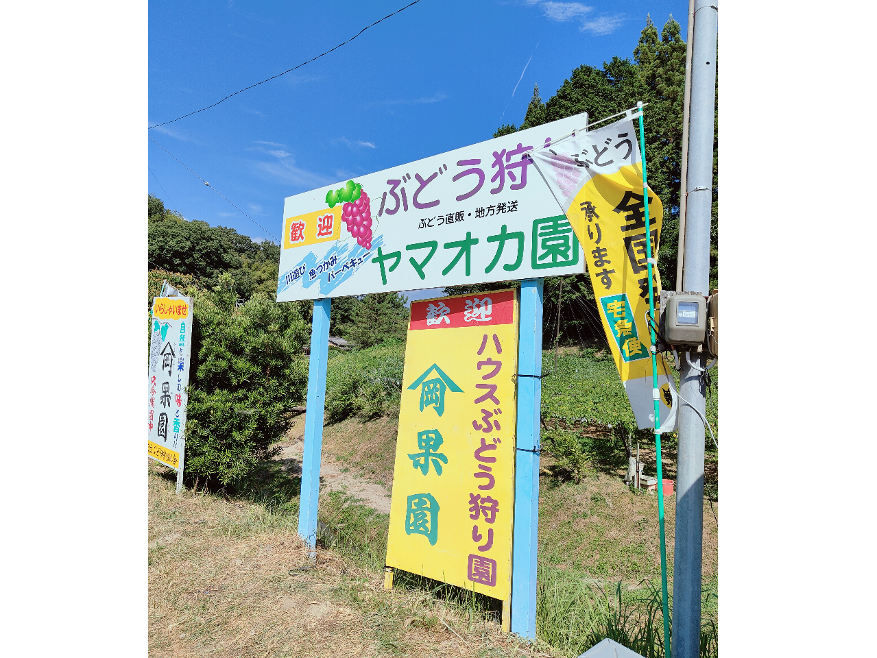 �E�������̊Ŕ�ڈ�ɂ��z���������B