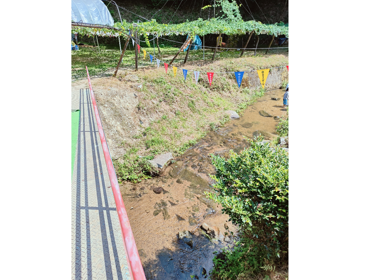 �E�����ɂ���V�R�̏���Ő�V�т��A�Ԃǂ����������ɂĂ��y���݂��������܂��B�i8��������܂ŁB�V�󓙂ł����p�s�̏ꍇ������܂��B��V�т͒��ӂ��Ă����p�������j