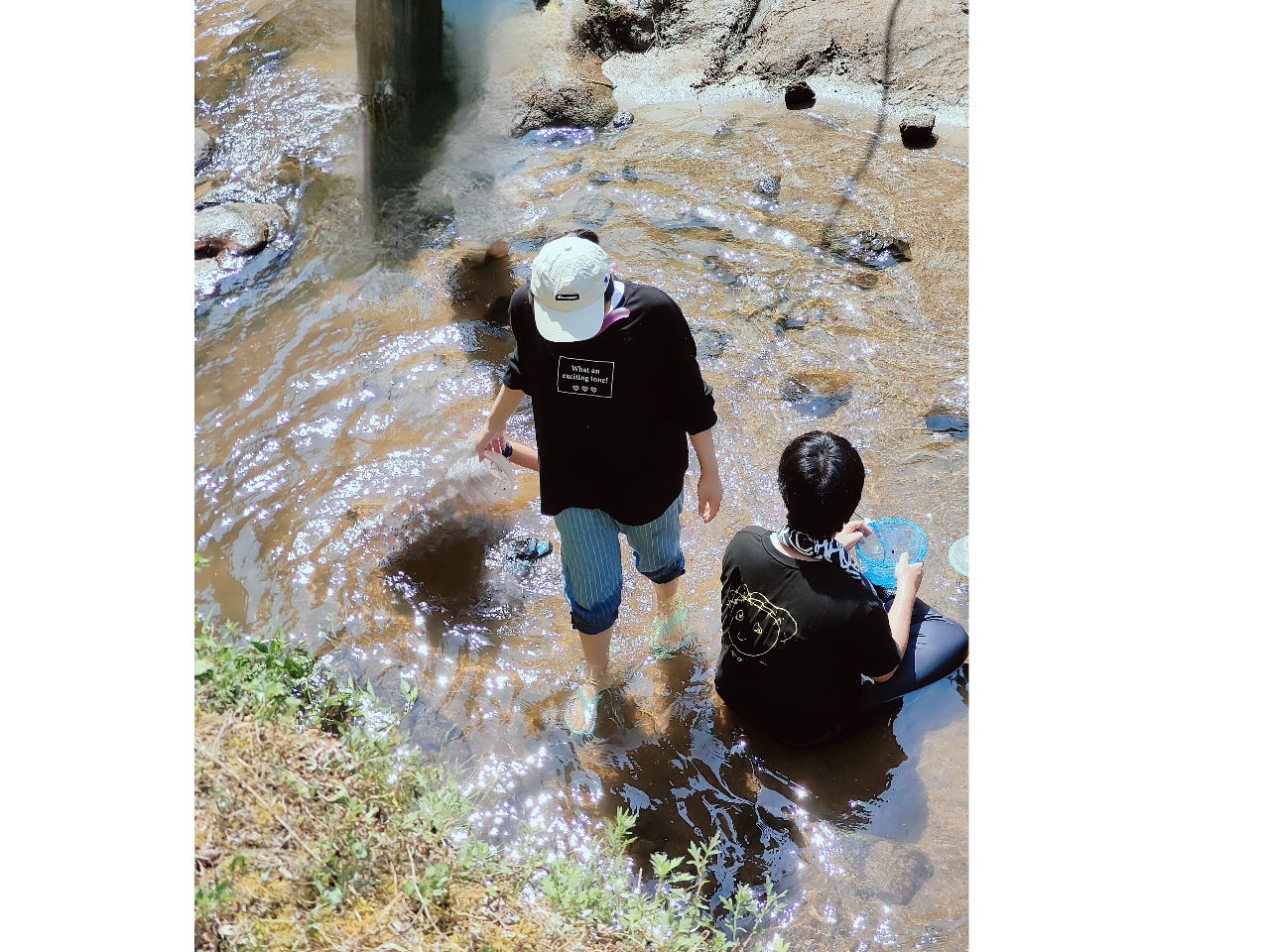 �E�����ɂ���V�R�̏���Ő�V�т��A�Ԃǂ����������ɂĂ��y���݂��������܂��B�i8��������܂ŁB�V�󓙂ł����p�s�̏ꍇ������܂��B��V�т͒��ӂ��Ă����p�������j