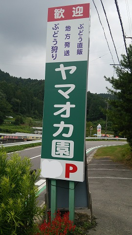 ������̊Ŕ��ڈ�ł��B