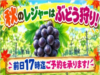 美味しいぶどうをご用意して、お待ちしております。