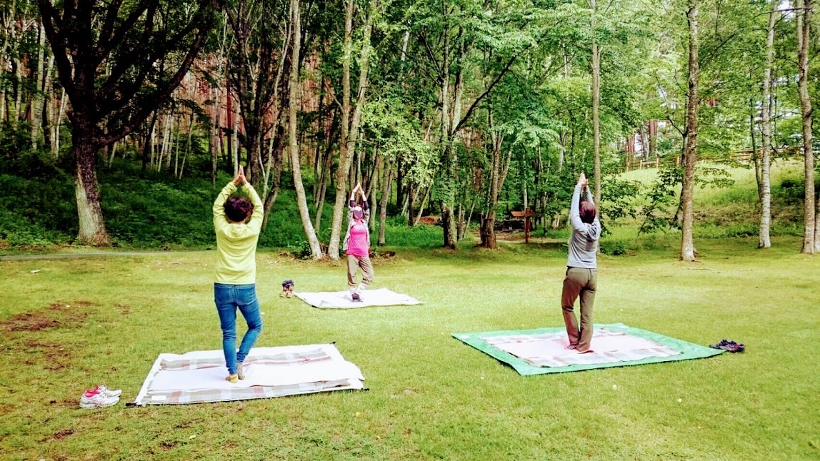 �X�̒��Ńs�N�j�b�N���K