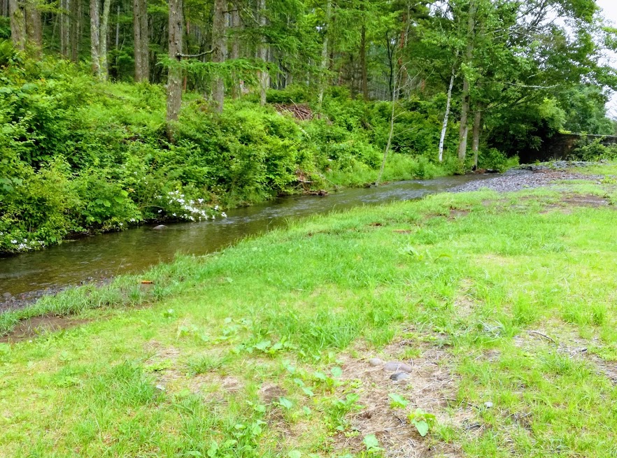 �����������̐X��X�ї��n�C�L���O��