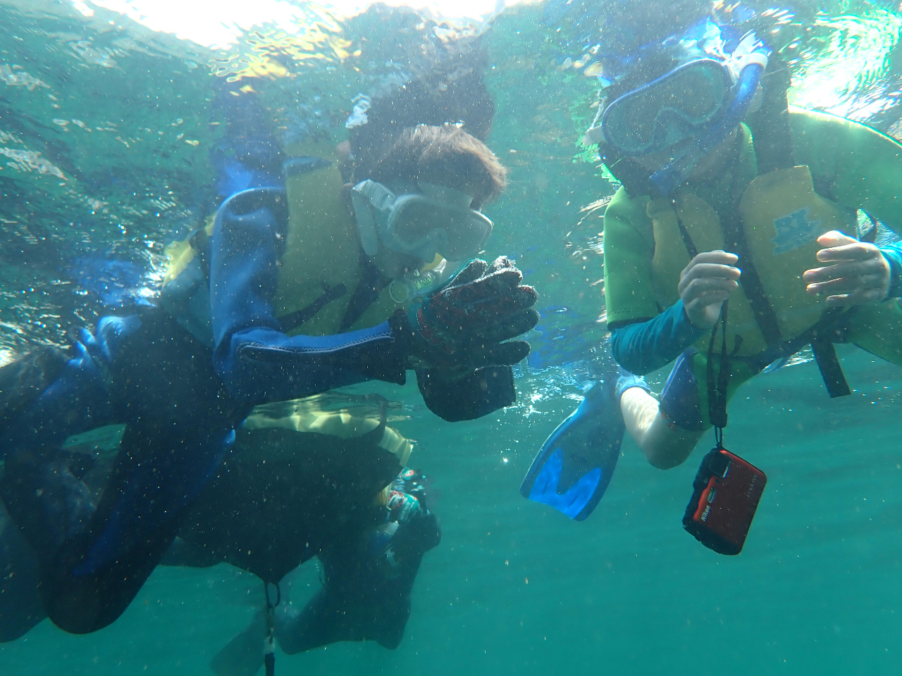 これは何だろう???