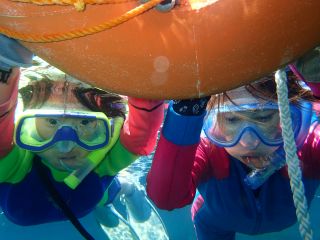 海の中には何がいますか!?